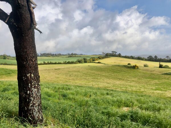 Dag 4: wind en wervelingen